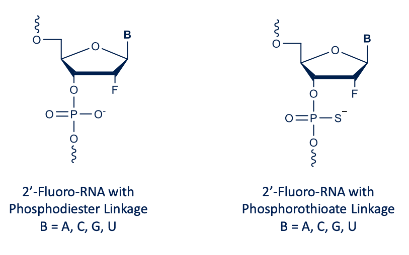 2’-Fluoro-RNA